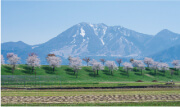 高社山
