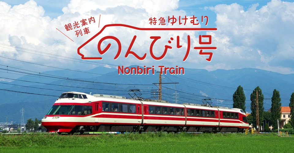 観光案内列車『特急ゆけむり～のんびり号～』